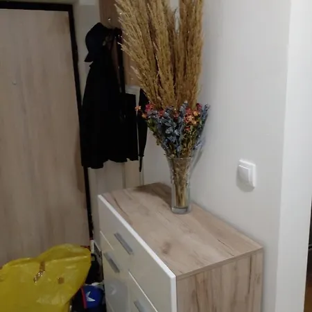 Apartman Maksimovic Apartament *